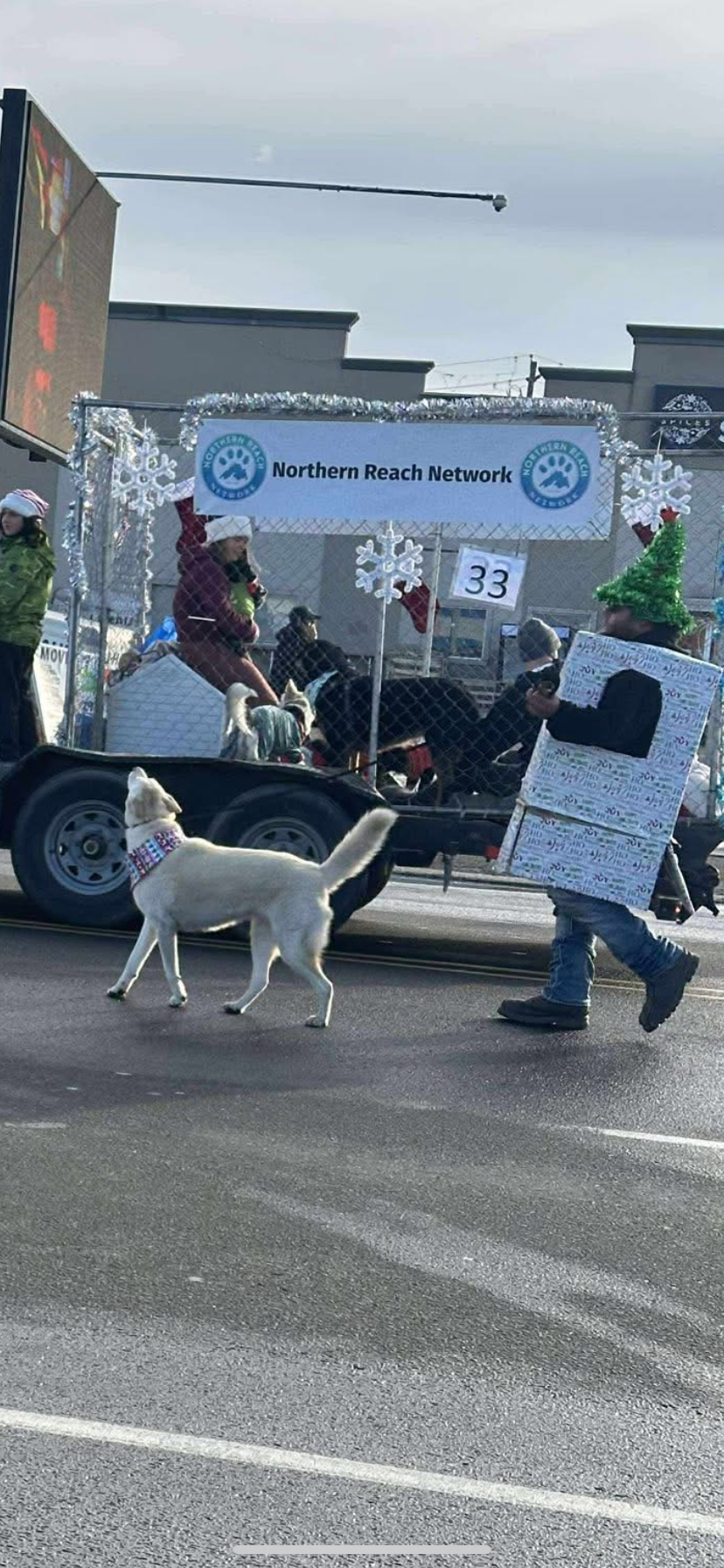 Dirty Hands Disposal logo