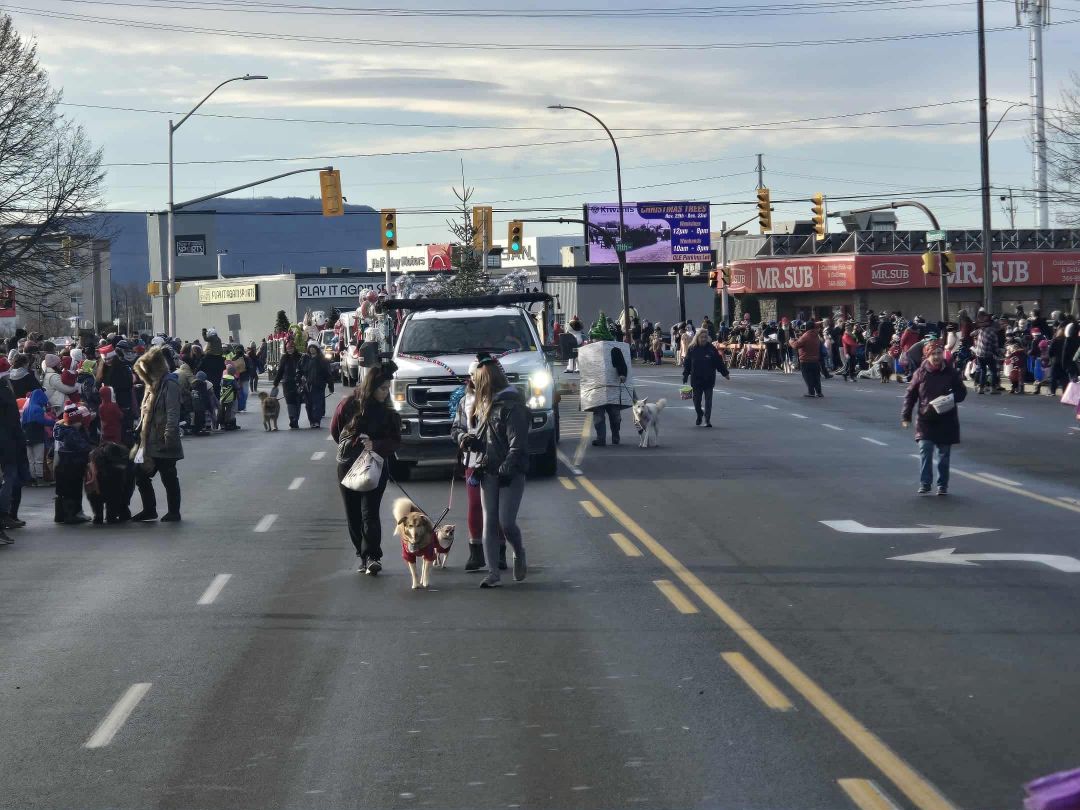 Dirty Hands Disposal logo